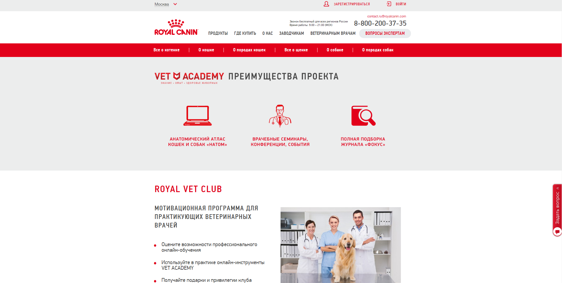 создание нового дизайна royal canin