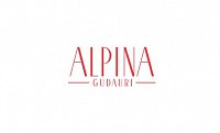 Отель Alpina